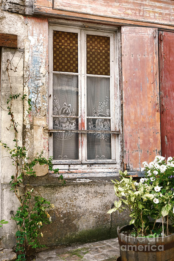 Flower Photograph - The Old Window with the Cats on the Curtains by Olivier Le Queinec