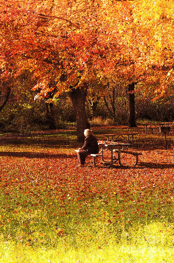 Old Photograph - The Old Woman In The Park by Gary Silverstein Old Photograph - The Old Woman In The Park by Gary Silverstein
