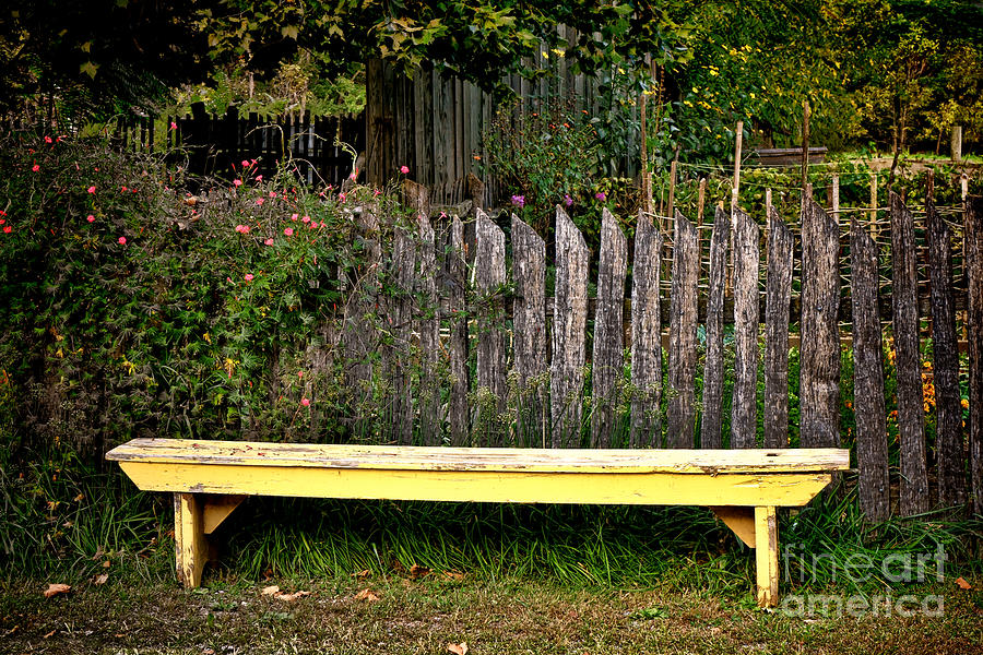 The Old Yellow Garden Bench Photograph by Olivier Le Queinec