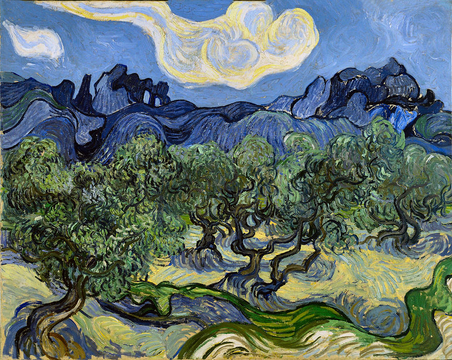 The Olive Tree Digital Art by Vincent Van Gogh