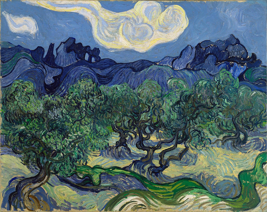 Vincent Van Gogh Painting - The Olive Trees by Vincent van Gogh