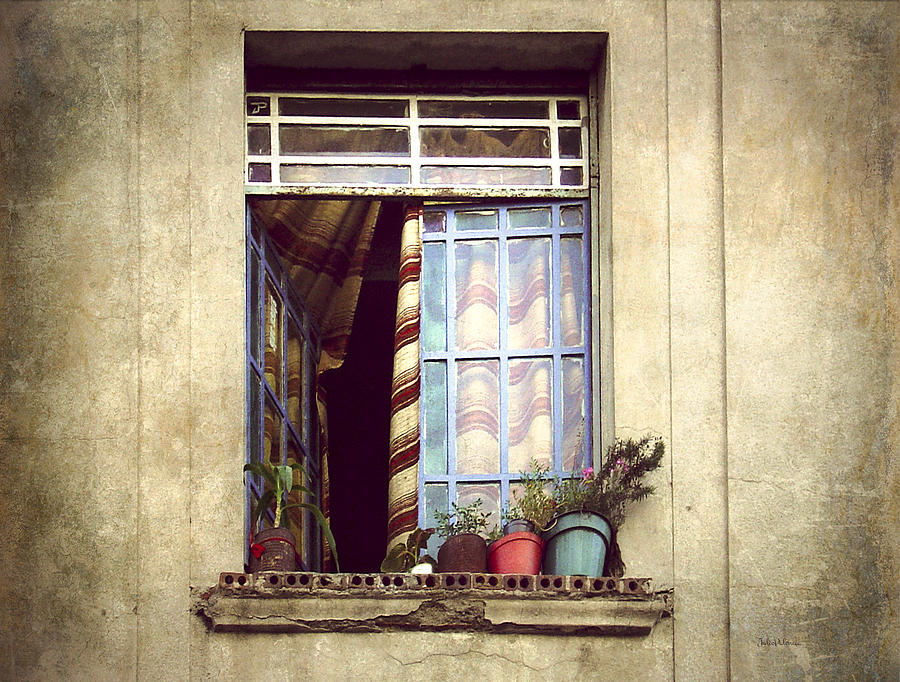 The Open Window Photograph by Julie Palencia