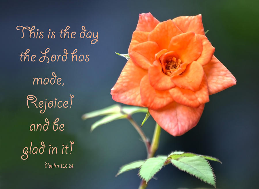 The Orange Rose And Scripture Photograph by Sandi OReilly