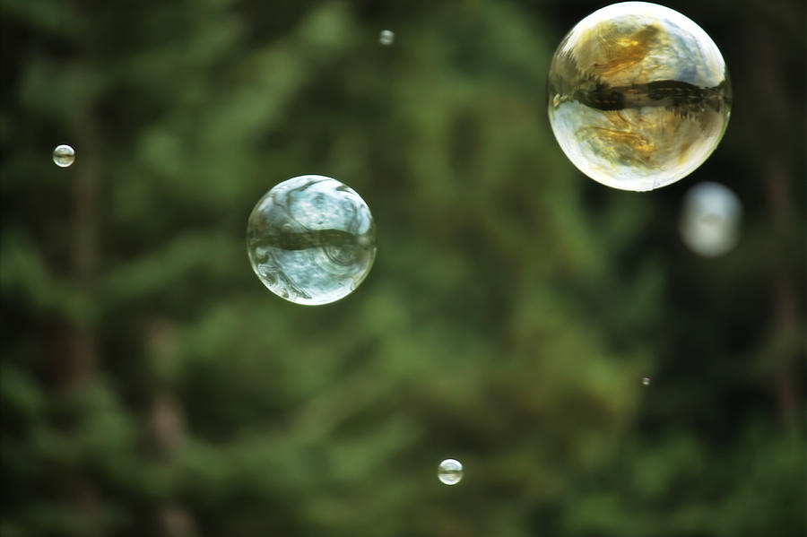 Bubbles Photograph - The Orbs by Michele Richter