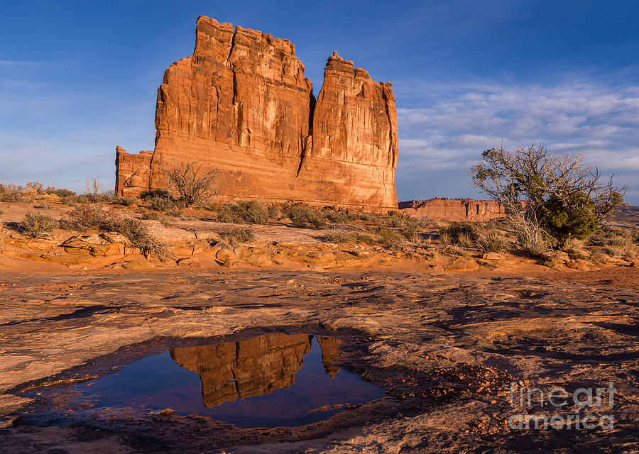 The Organ Arches National Park Photograph by Jerry Fornarotto