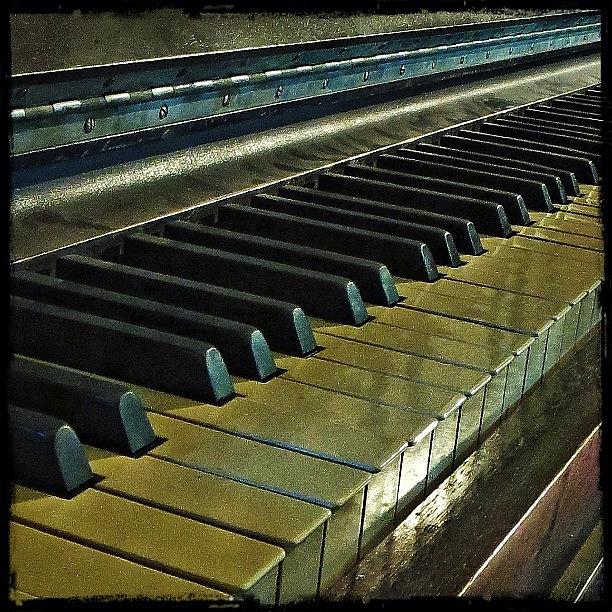 The Original Ivories Photograph by Julie Hollow