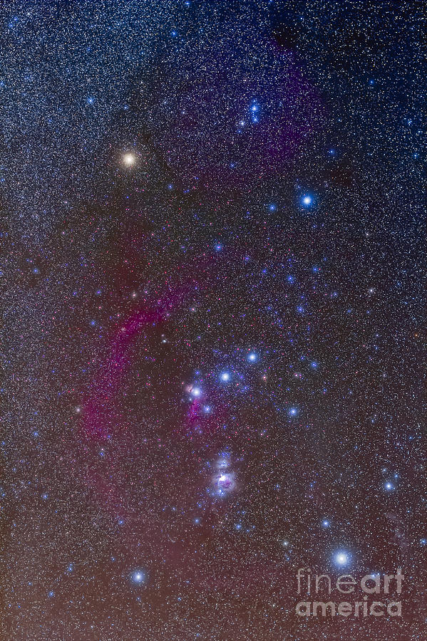 Space Photograph - The Orion Constellation by Alan Dyer