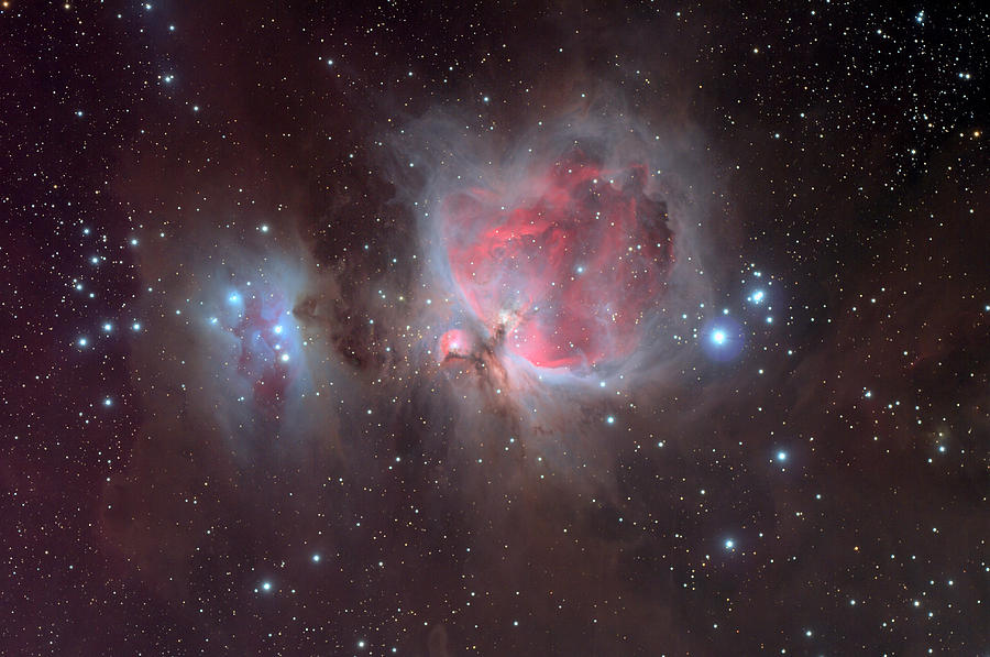 The Orion Nebula Photograph by Celestial Images
