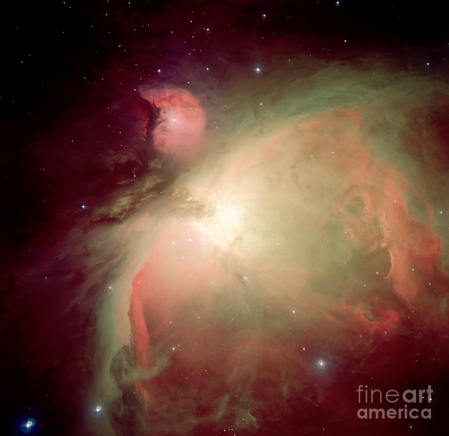 The Orion Nebula Photograph by Paul Fearn