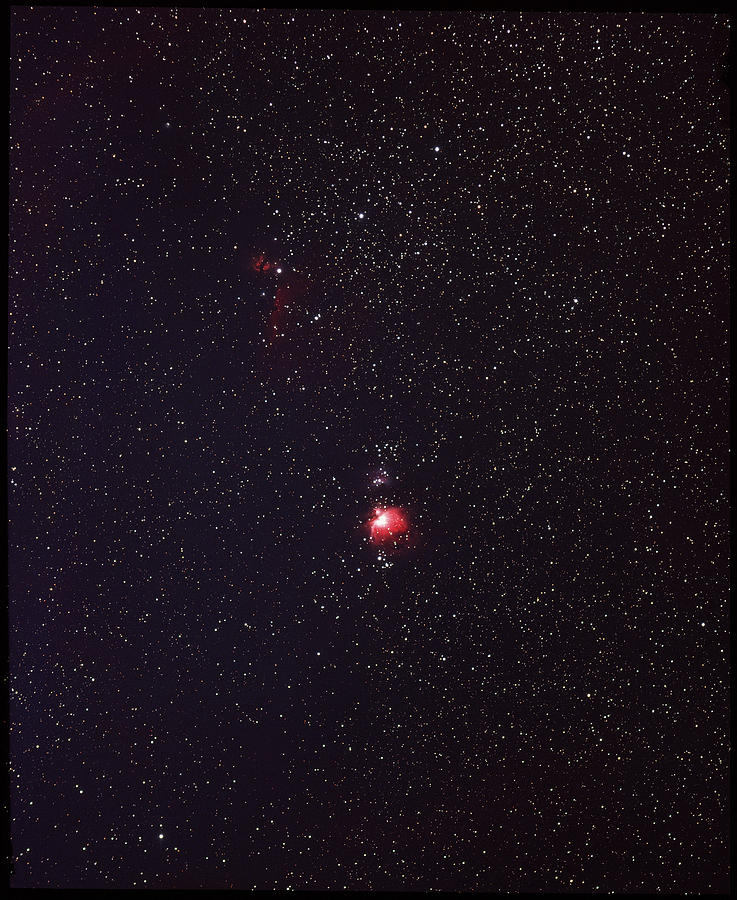 Astronomy Photograph - The Orion Nebula by Rev. Ronald Royer/science Photo Library Astronomy Photograph - The Orion Nebula by Rev. Ronald Royer/science Photo Library