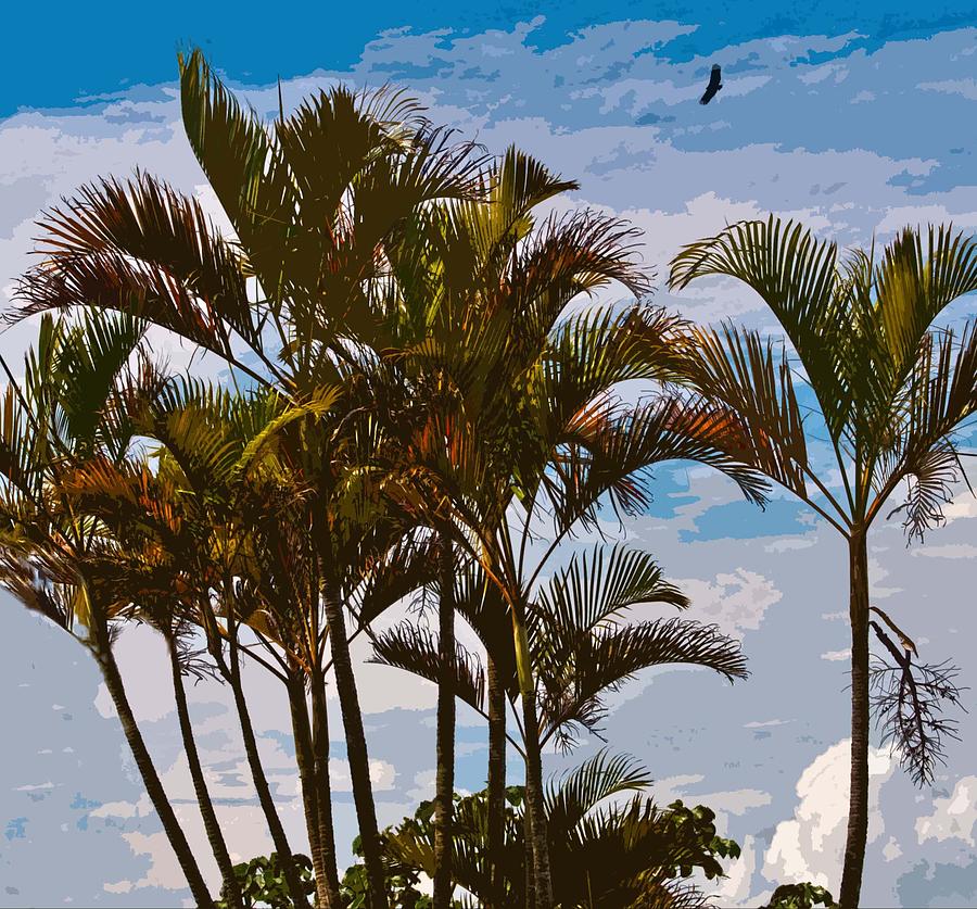 The Osprey and the Palms Photograph by Edward Shmunes