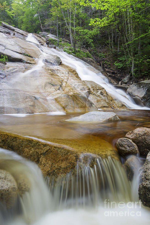 The Other Pitcher Falls - Lincoln New Hampshire Photograph by Erin Paul Donovan