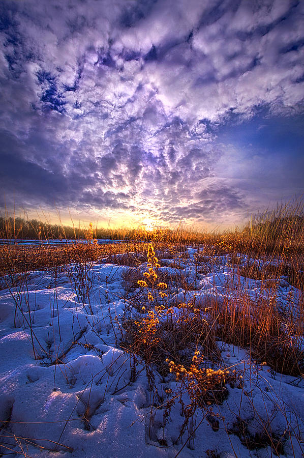 The Other Side of Waking Photograph by Phil Koch