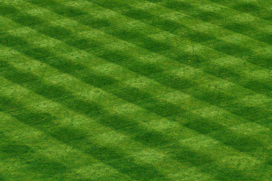 The Comerica Park Outfield Grass Photograph by Daniel Thompson
