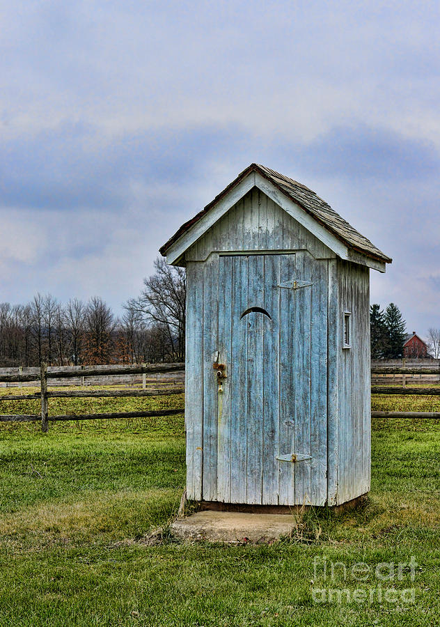 Tree Photograph - The Outhouse - 4 by Paul Ward
