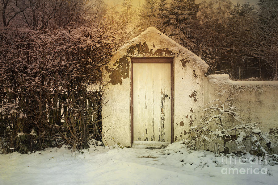 Winter Photograph - The Outside Convenience by Ann Garrett