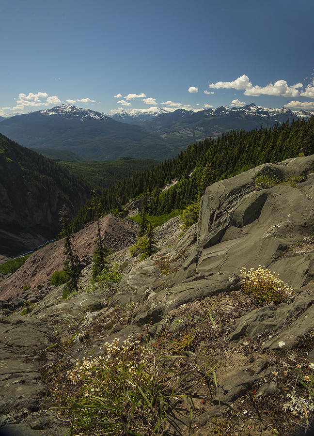 Mountain Photograph - The Overlook near Garibaldi by Aaron Bedell