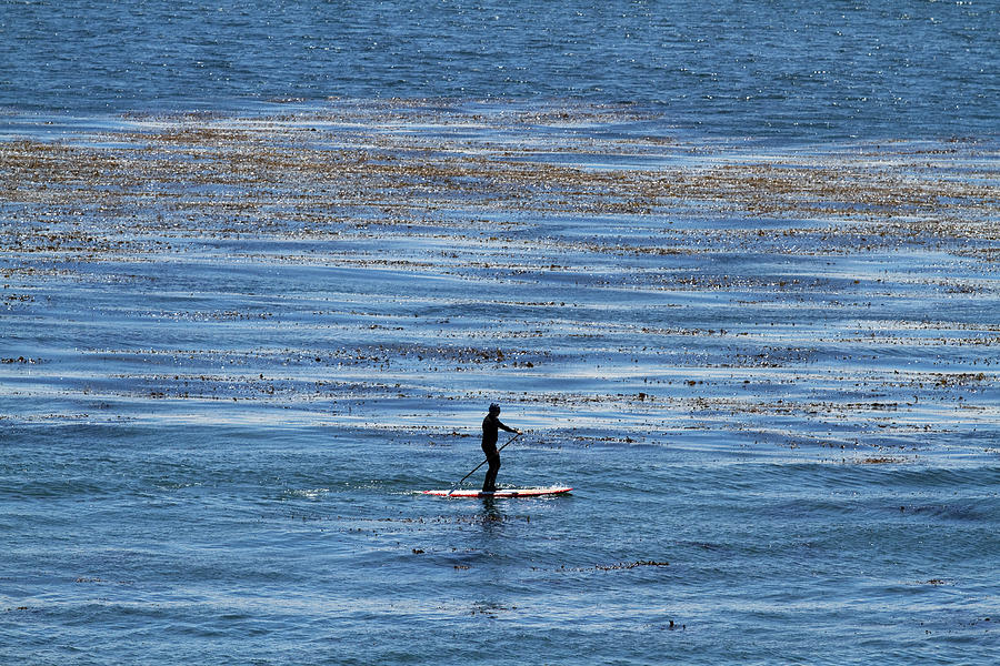 The Paddle Boarder Photograph by Tom Kelly