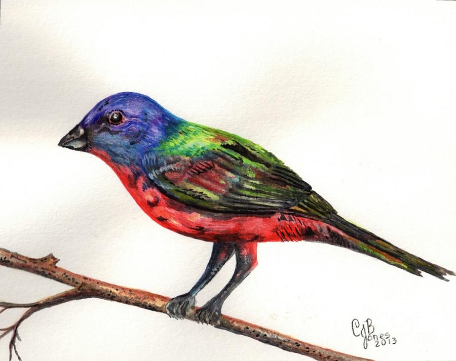 Bunting Painting - The Painted Bunting by Chris Bajon Jones