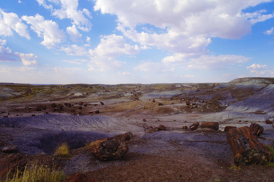 The Painted Desert Photograph by Jeff Swan
