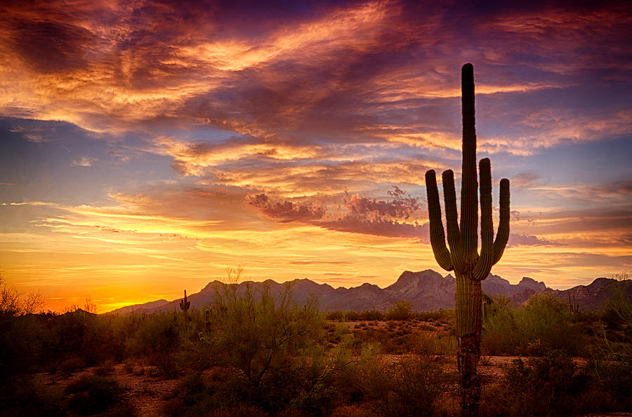 Sunset Photograph - The Painted Desert  by Saija Lehtonen
