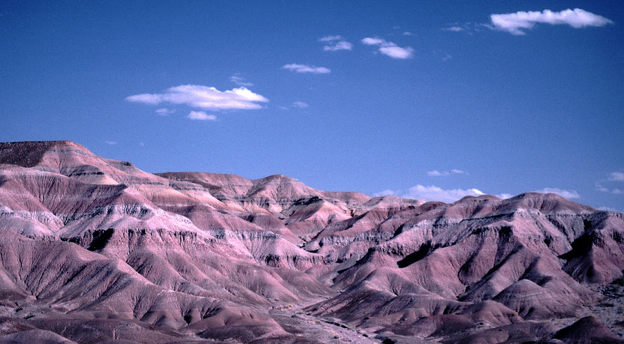 Mudstone Photograph - The Painted Desert Tuba City by Tom Wurl
