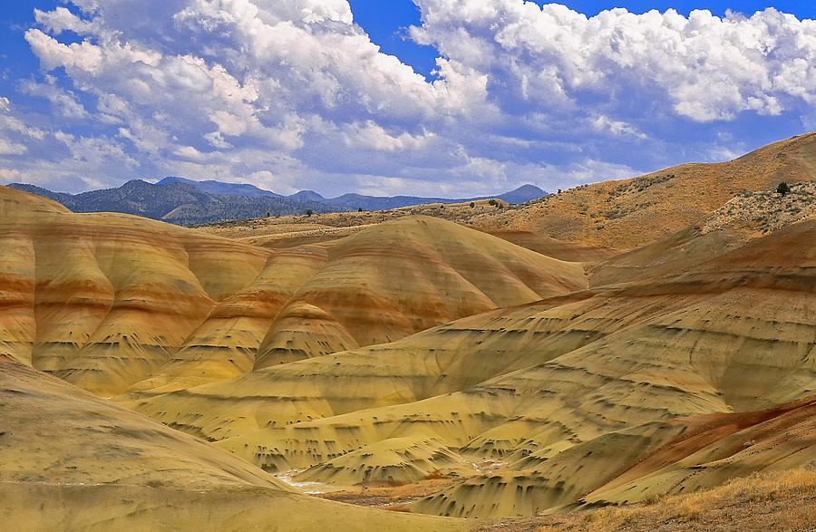 The Painted Hills Photograph by Donald A Higgs