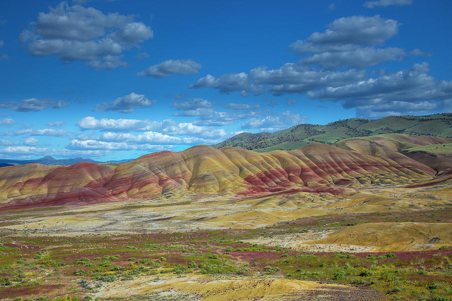 The Painted Hills, Near  Mitchell Photograph by Bob Pool