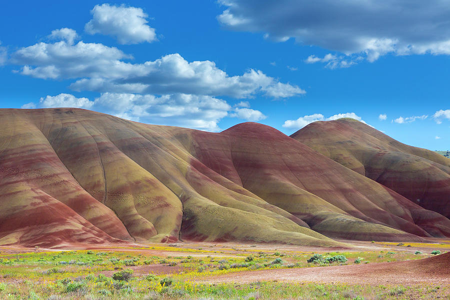 The Painted Hills, Near Mitchell, Oregon Photograph by Bob Pool