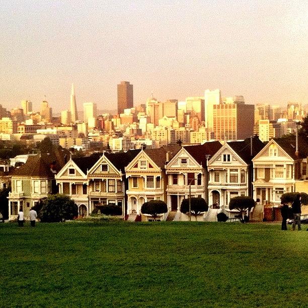 The Painted Ladies...
with A Touch Of Photograph by Vicki Damato