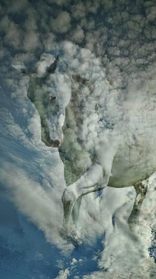 The Pale Horse Photograph by Maria Urso