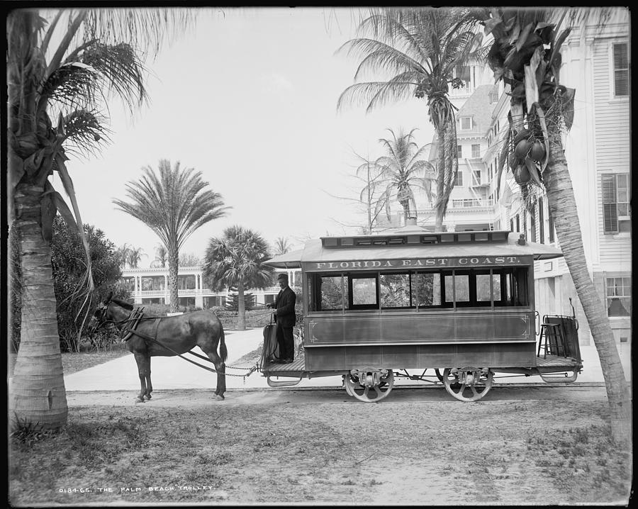 Tree Photograph - The Palm Beach Trolley by Bill Cannon
