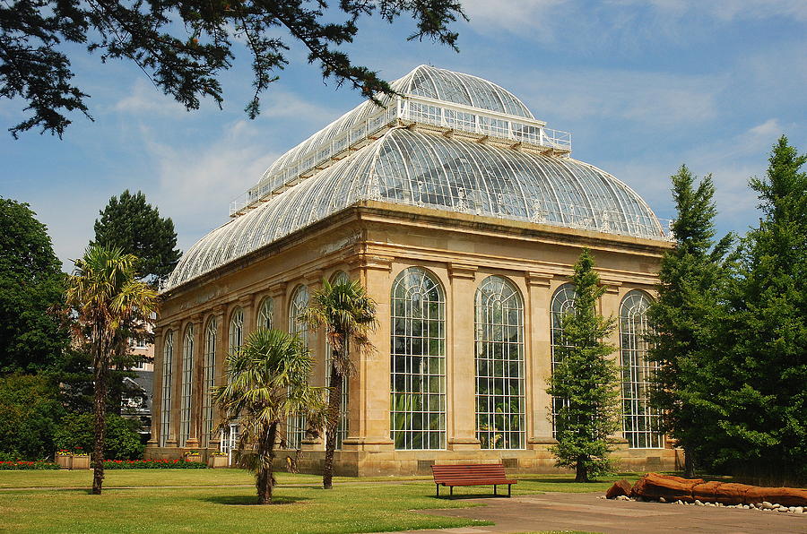 The Palm House Photograph by Francis McCafferty - Fine Art America