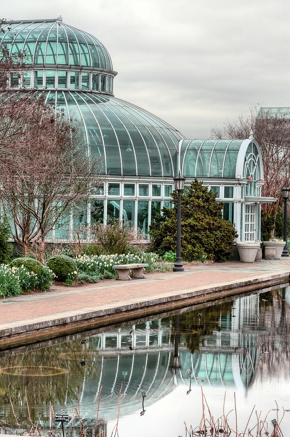 Magnolia Movie Photograph - The Palm House by JC Findley