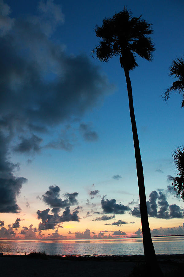 are dogs allowed at sunset beach tarpon springs