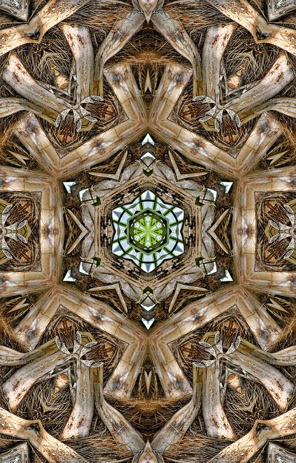 The Palm Project 12 vertical Digital Art by Wendy J St Christopher
