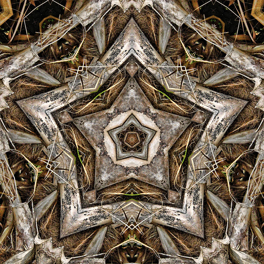 The Palm Project 13 square Digital Art by Wendy J St Christopher