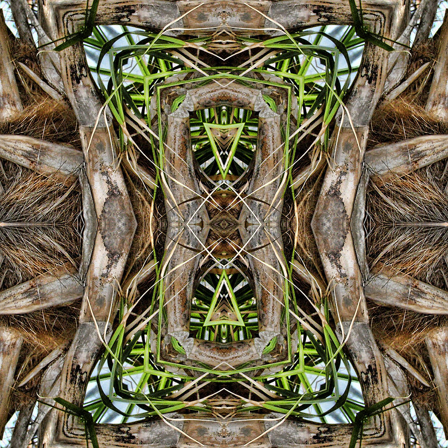 The Palm Project 14 square Digital Art by Wendy J St Christopher