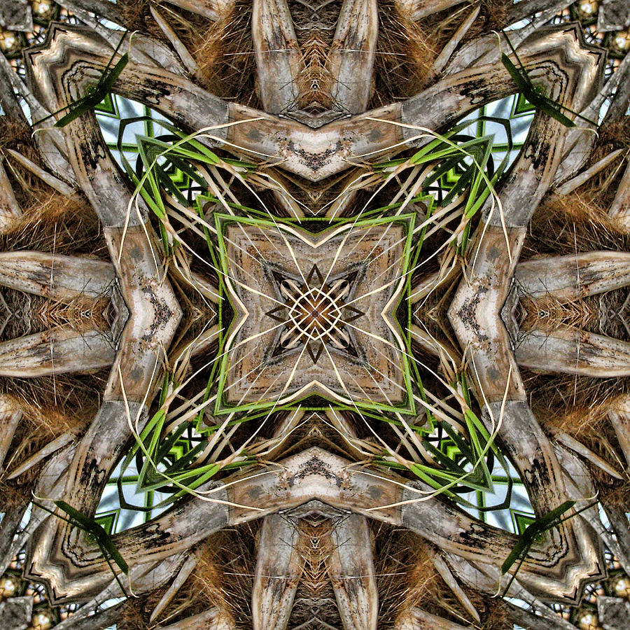 The Palm Project 18 square Digital Art by Wendy J St Christopher
