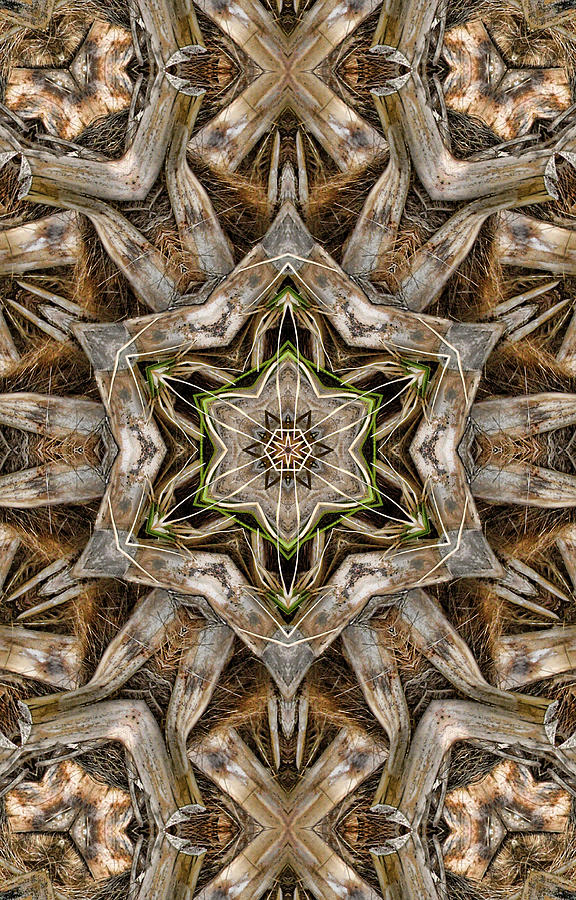 The Palm Project 2 vertical Digital Art by Wendy J St Christopher