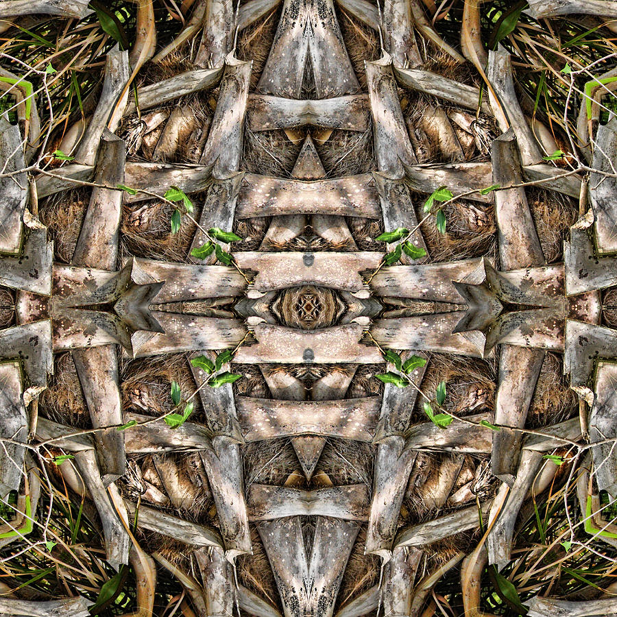 The Palm Project 20 square Digital Art by Wendy J St Christopher