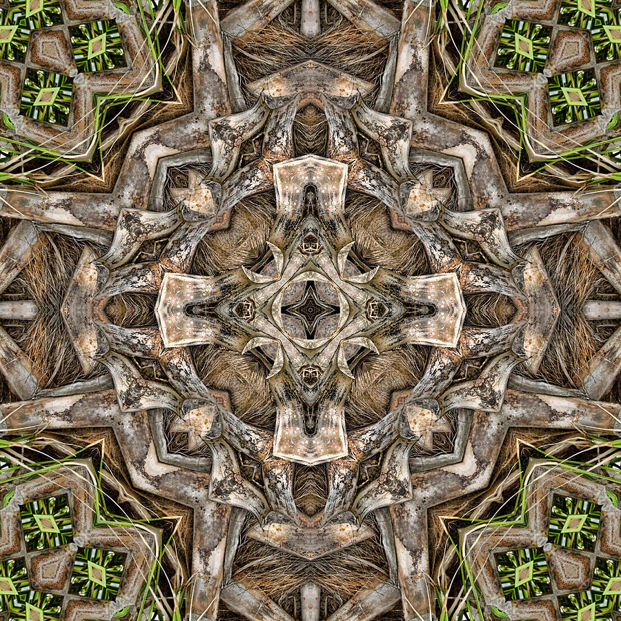 The Palm Project 21 square Digital Art by Wendy J St Christopher