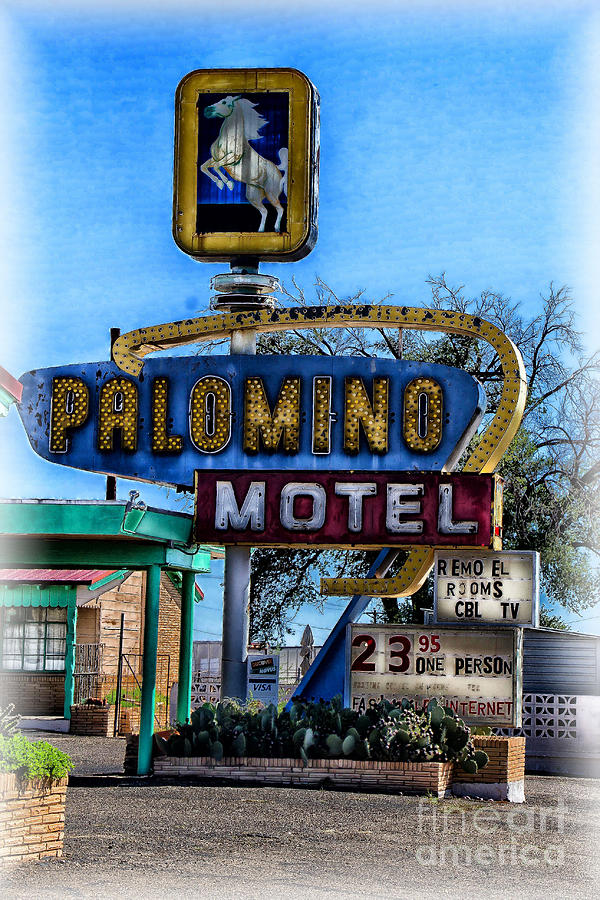 The Palomino Photograph by Jim McCain