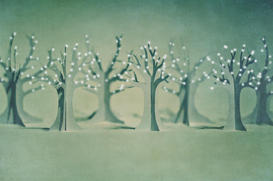 The Paper Forest Photograph by Image By Catherine Macbride
