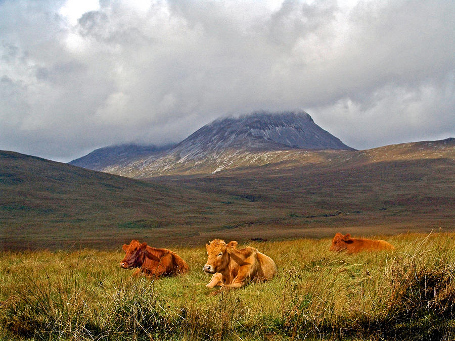 The Paps of Jura Photograph by Mark Egerton