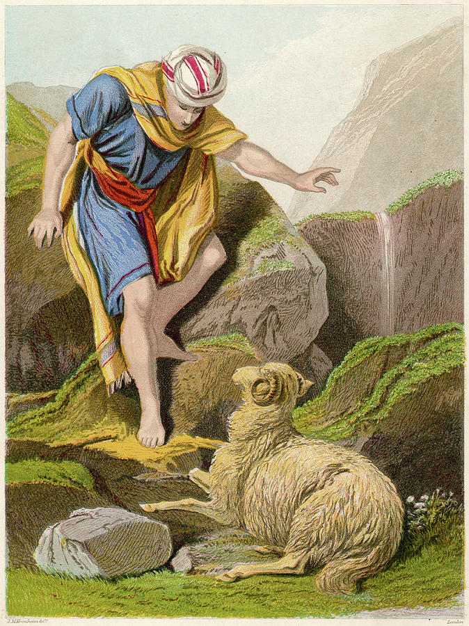 parable of the shepherd