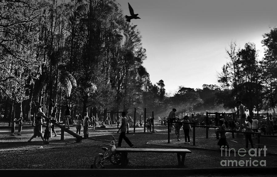 The Park at Dusk - Sao Paulo Photograph by Carlos Alkmin