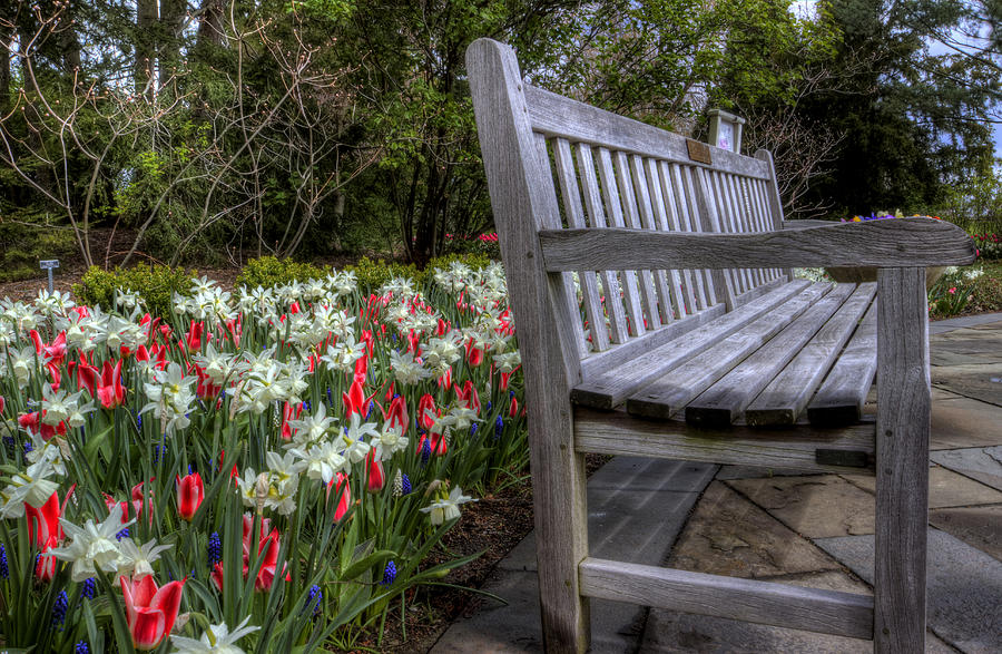 The Park Bench Photograph by David Dufresne
