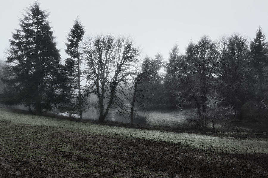 The Pasture Through Light Fog Photograph by Belinda Greb