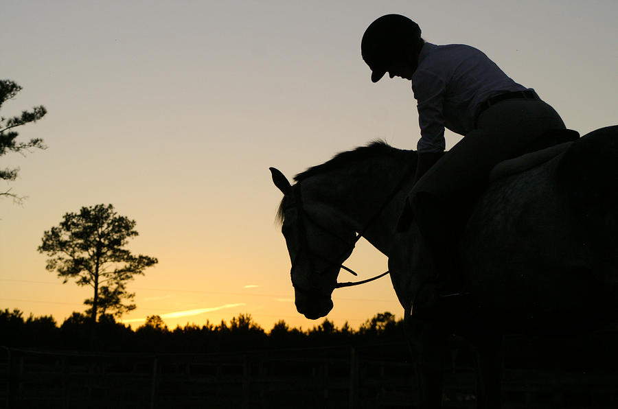 The Pat Photograph by Virginia Gates | Fine Art America